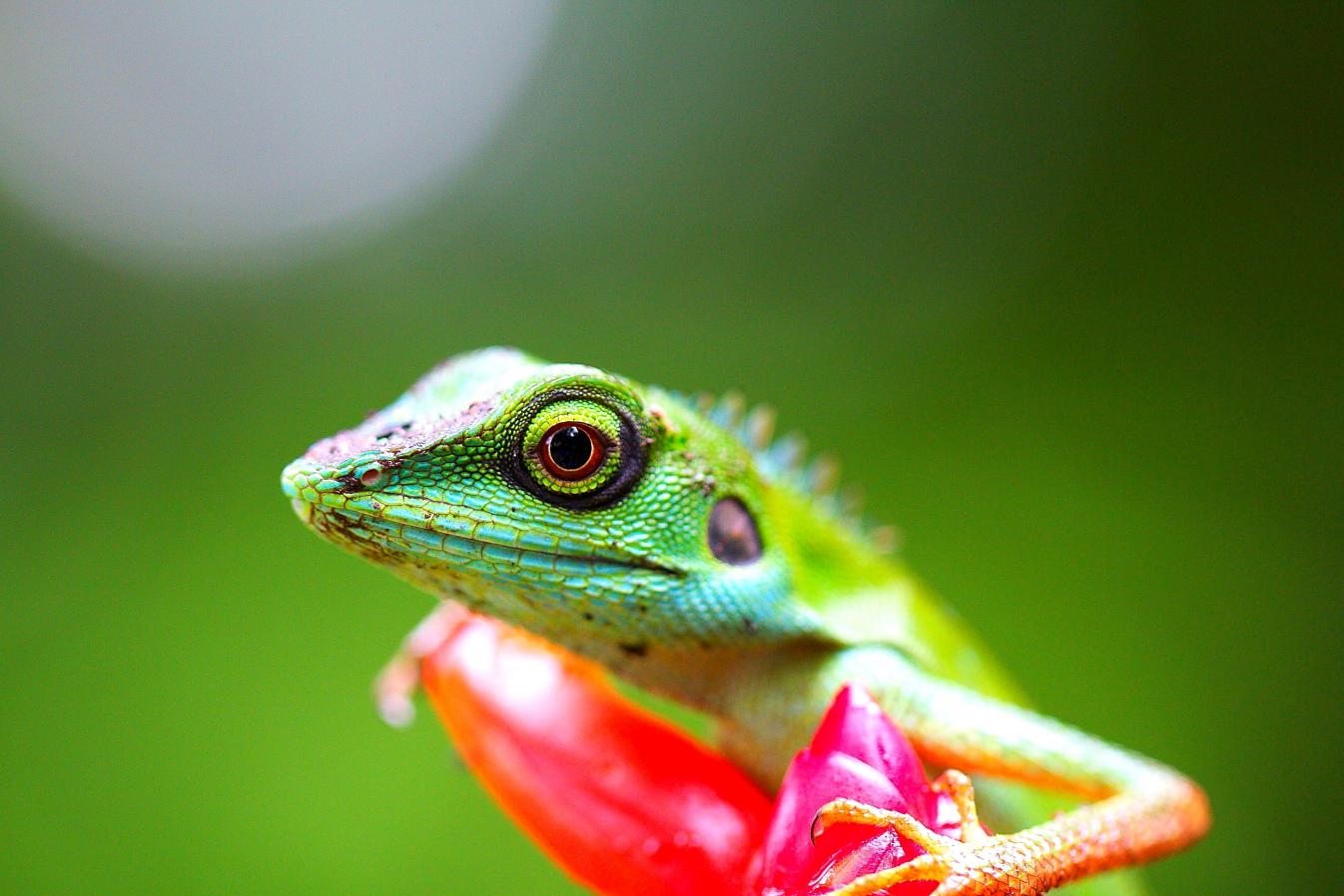 Name:  ZOO3.jpg
Views: 230
Size:  101.6 KB