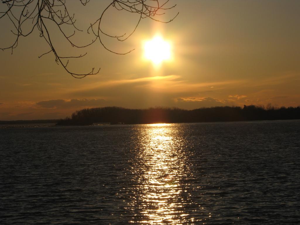Name:  IMG_3929.jpg
Views: 782
Size:  92.6 KB