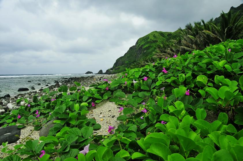 Name:  _CEZ0450a.jpg
Views: 564
Size:  98.2 KB