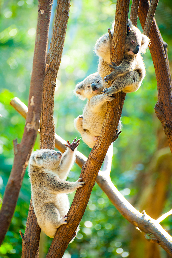 Name:  DSC_0894.jpg
Views: 221
Size:  763.5 KB