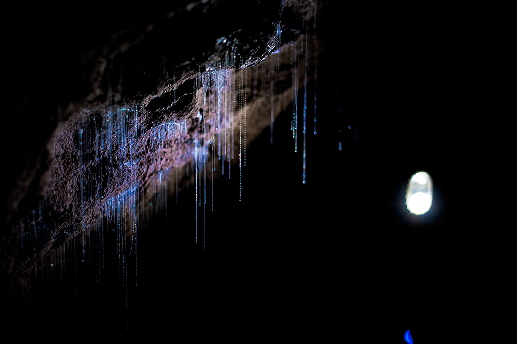 Name:  DSC_1282.jpg
Views: 133
Size:  288.3 KB