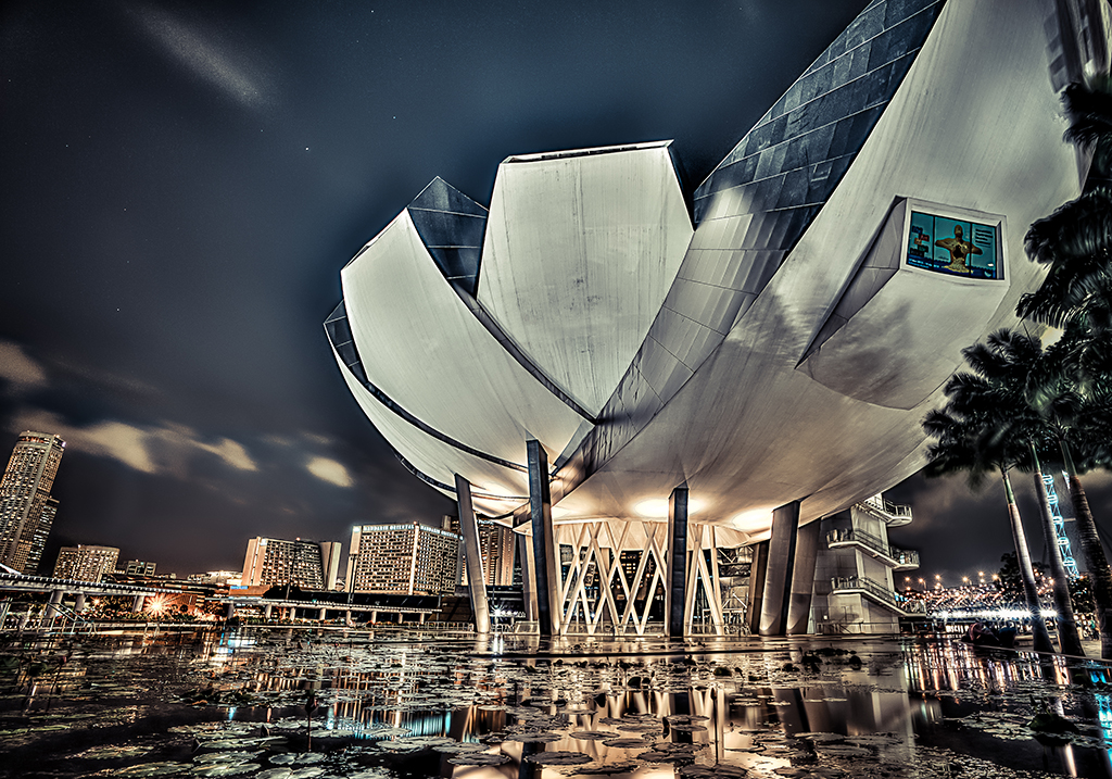 Name:  DSC_6088.jpg
Views: 180
Size:  906.0 KB