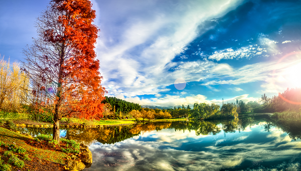 Name:  DSC_9883.jpg
Views: 170
Size:  774.8 KB