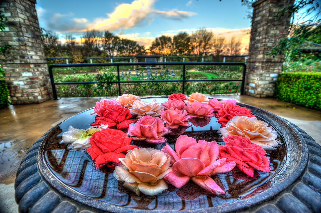 Name:  DSC_10044.jpg
Views: 165
Size:  822.2 KB
