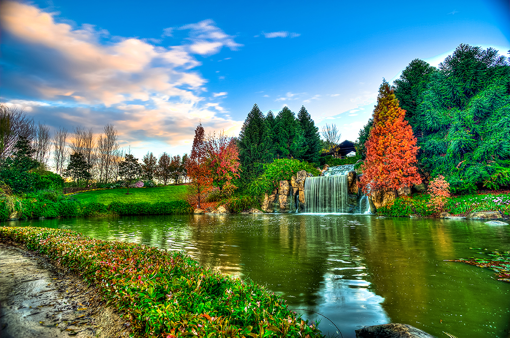 Name:  DSC_10051.jpg
Views: 169
Size:  1.01 MB