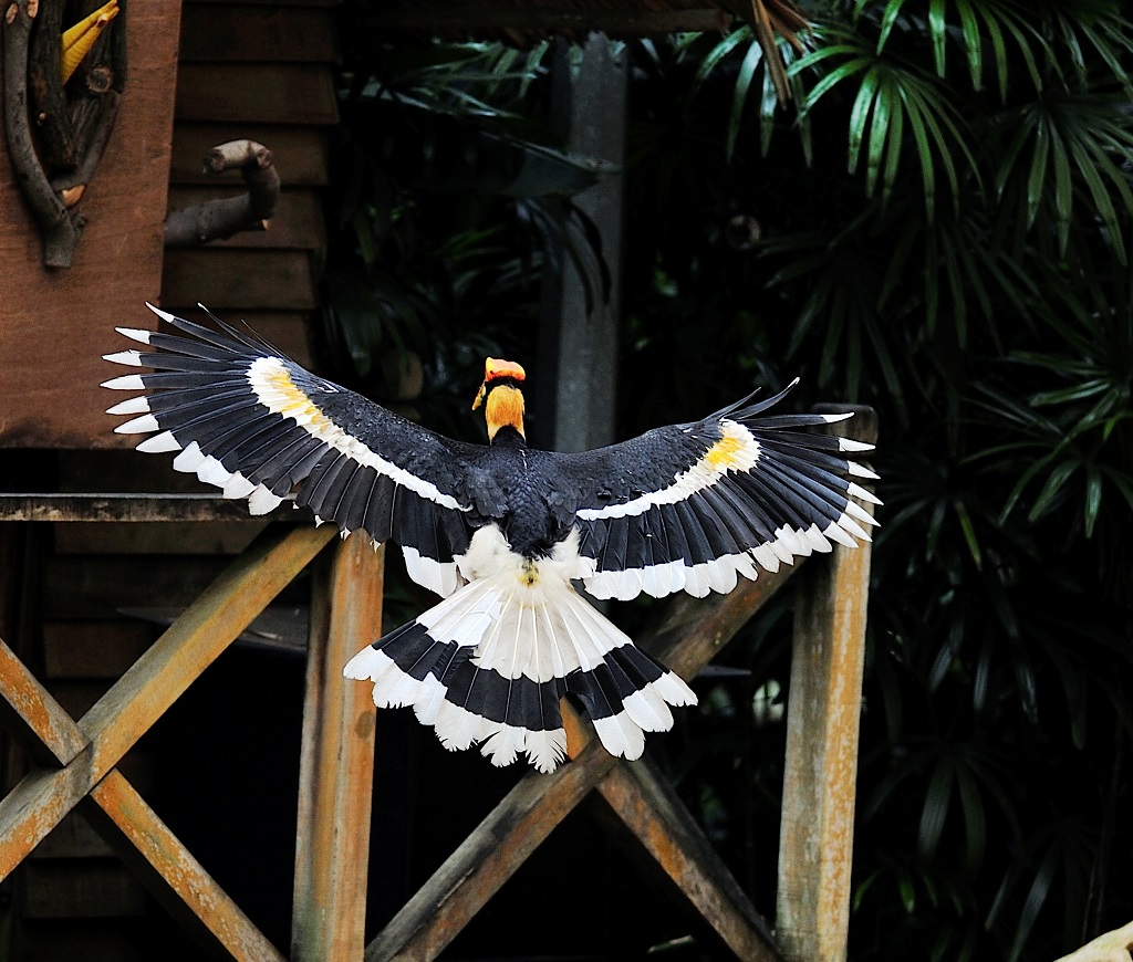 Name:  Birds.JPG
Views: 31
Size:  280.0 KB
